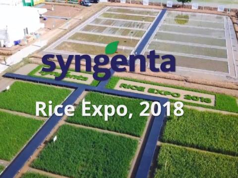 rice_expo