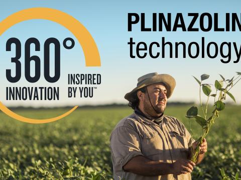 plinazolin_technology_brand_identity