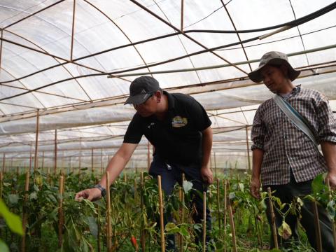 World Food Safety Day 1
