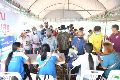 งานแสดงแปลงปลูกพันธุ์ NKข้าวโพดหลังนา