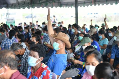 งานแสดงแปลงปลูกพันธุ์ NKข้าวโพดหลังนา