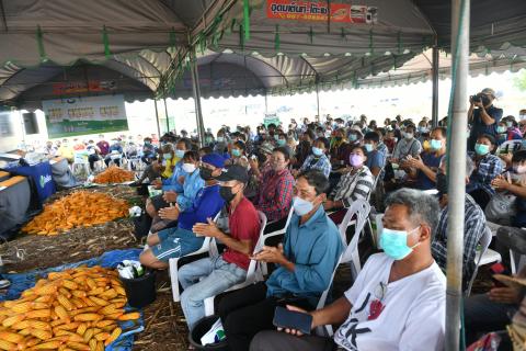 งานแสดงแปลงปลูกพันธุ์ NKข้าวโพดหลังนา