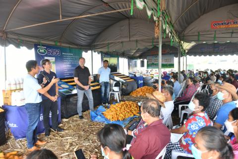 งานแสดงแปลงปลูกพันธุ์ #NKข้าวโพดหลังนา