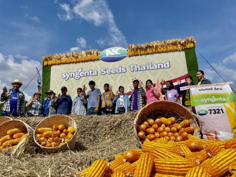 งานแสดงแปลงปลูกพันธุ์ #NKข้าวโพดหลังนา