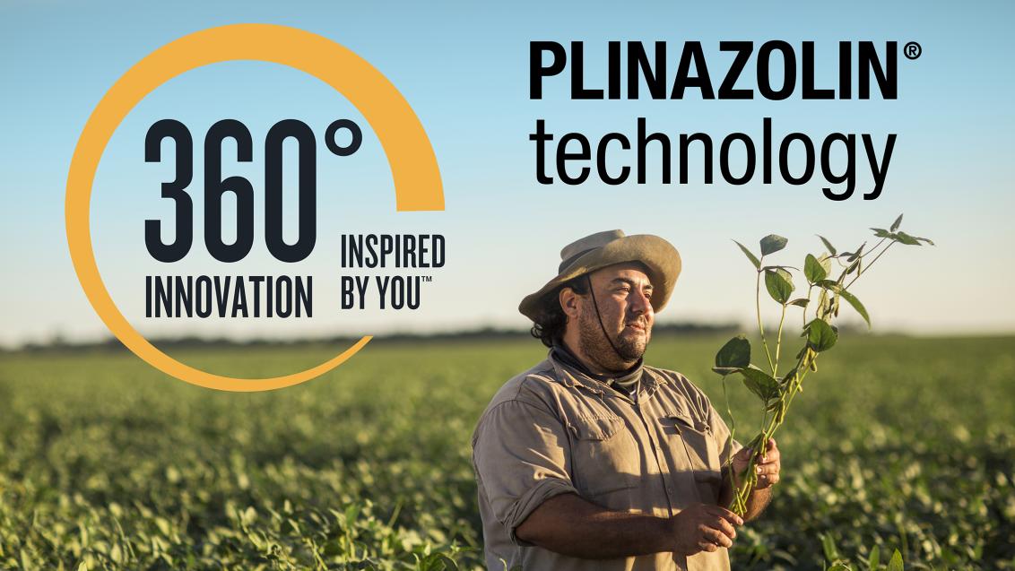 plinazolin_technology_brand_identity