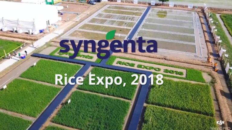 rice_expo