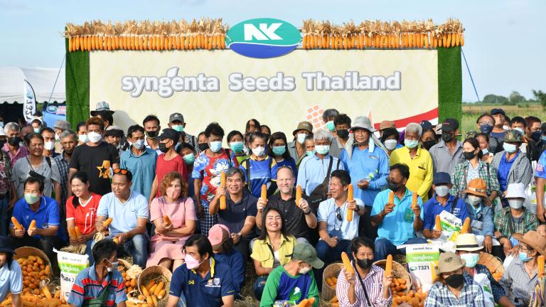 งานแสดงแปลงปลูกพันธุ์ #NKข้าวโพดหลังนา