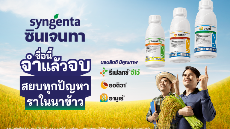 ซินเจนทาช่วยชาวนาไทย