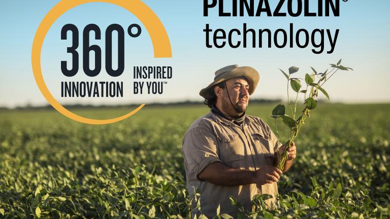 plinazolin_technology_brand_identity