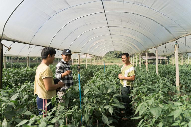 World Food Safety Day 2
