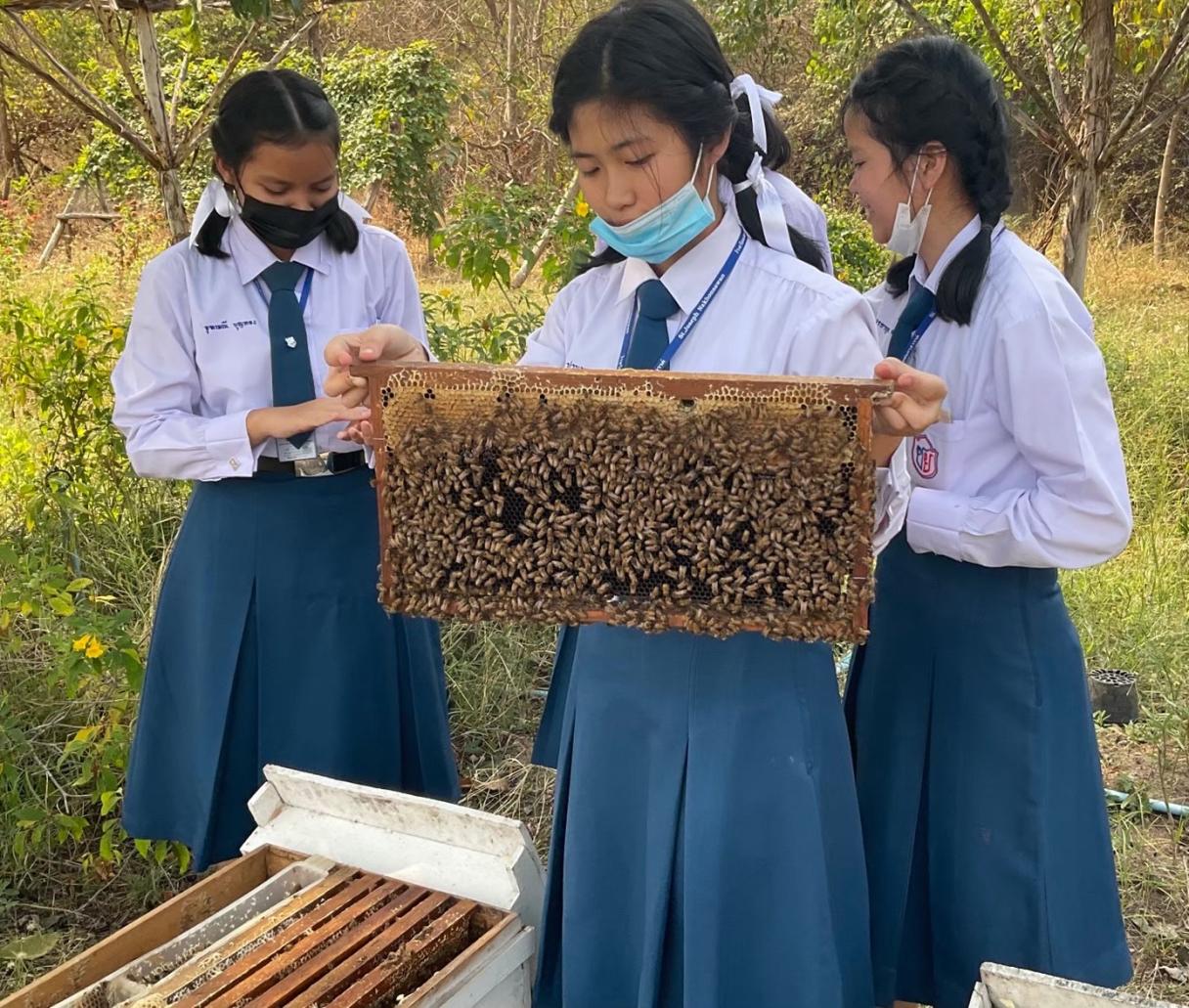 bee-love-banner