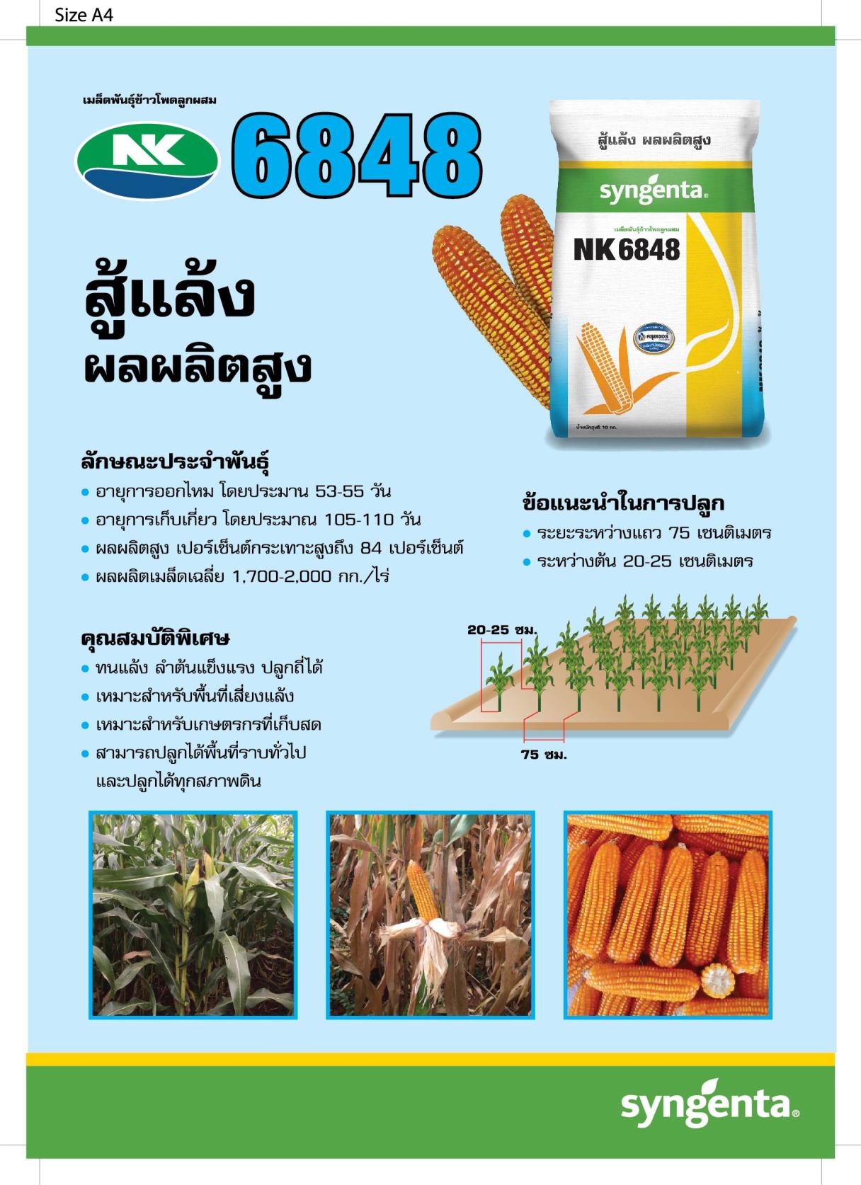 ข้าวโพดเลี้ยงสัตว์
