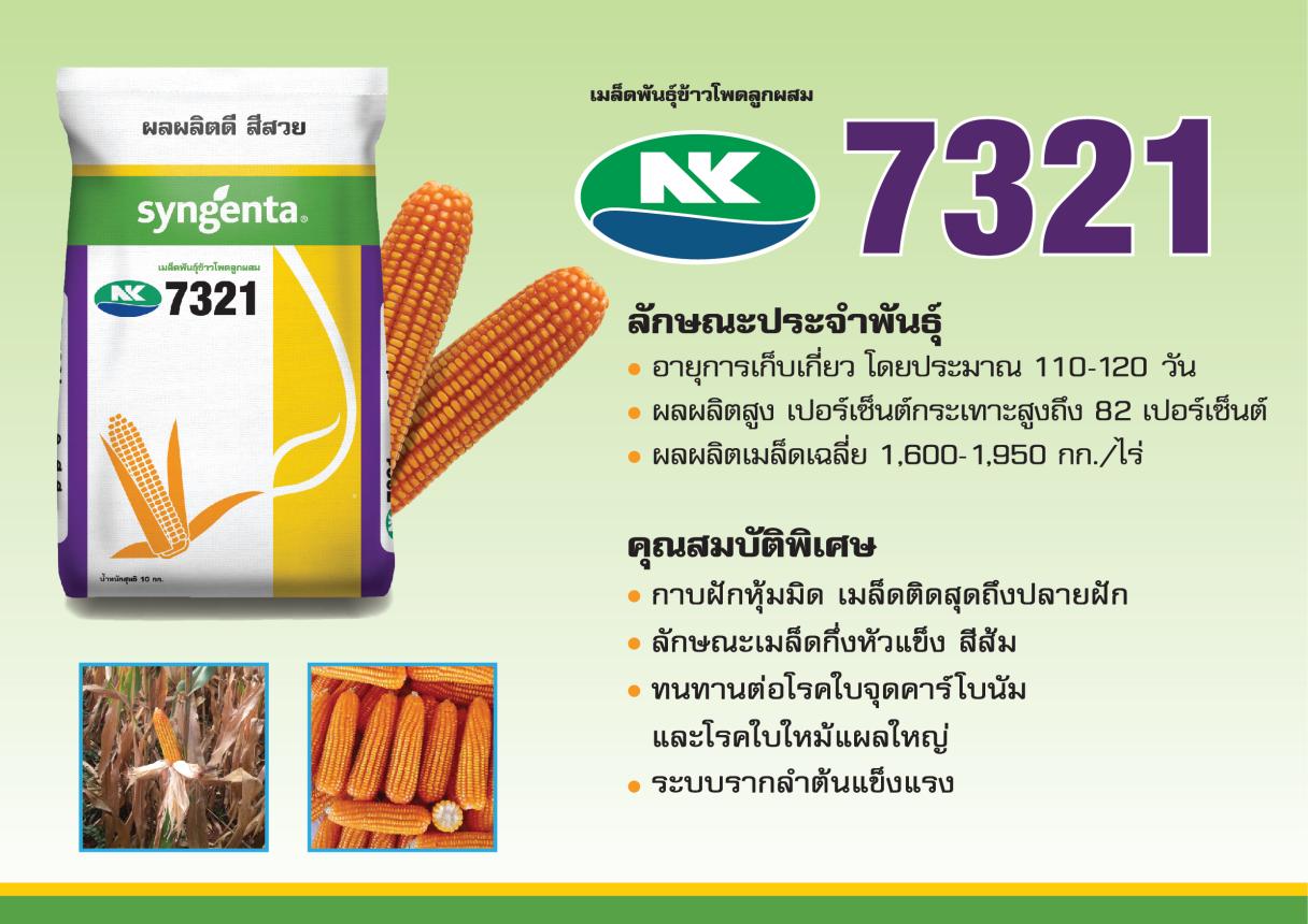ข้าวโพดเลี้ยงสัตว์