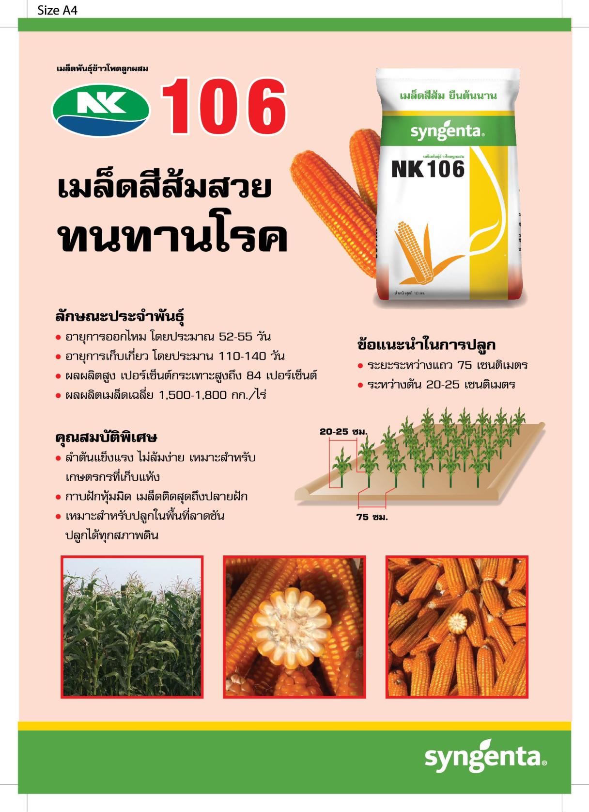 ข้าวโพดเลี้ยงสัตว์