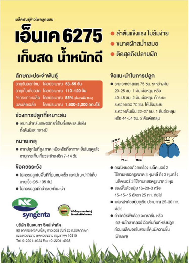 ข้าวโพดเลี้ยงสัตว์ 6275