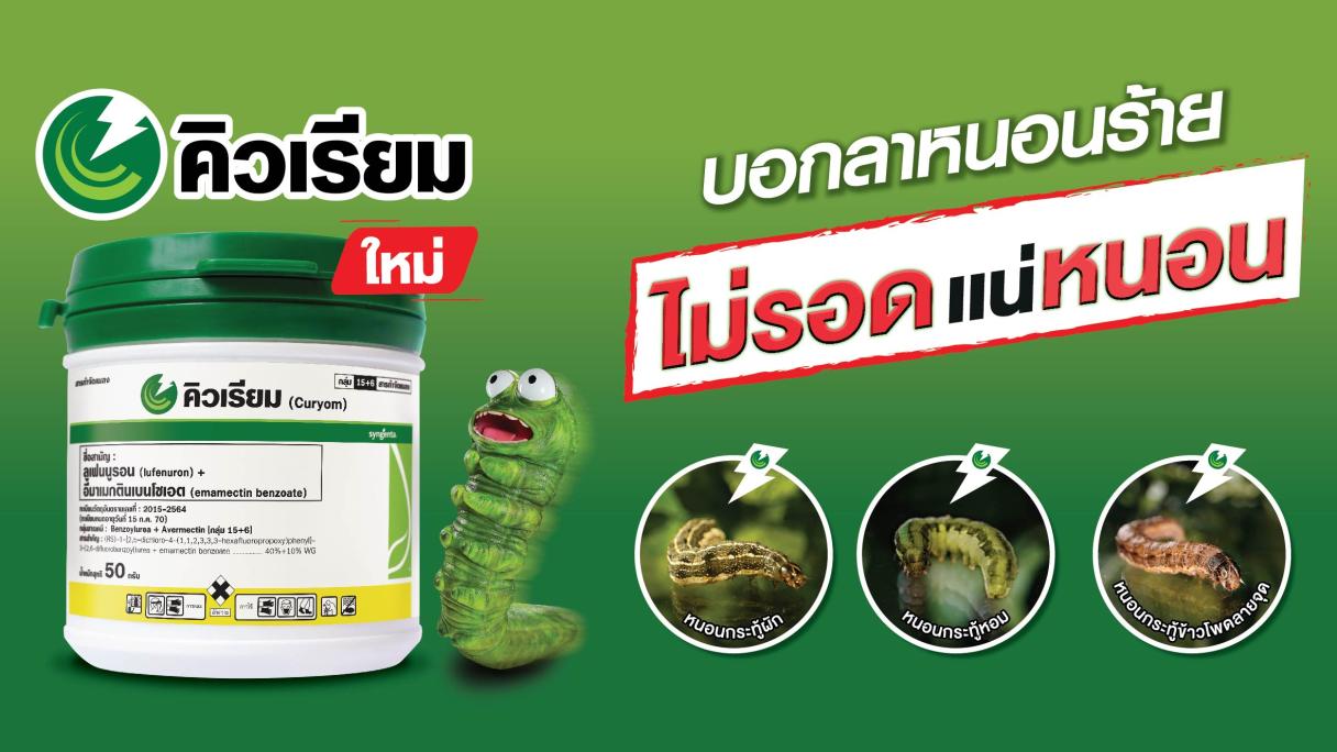 คิวเรียม บอกลาหนอนร้าย ไม่รอดแน่หนอน