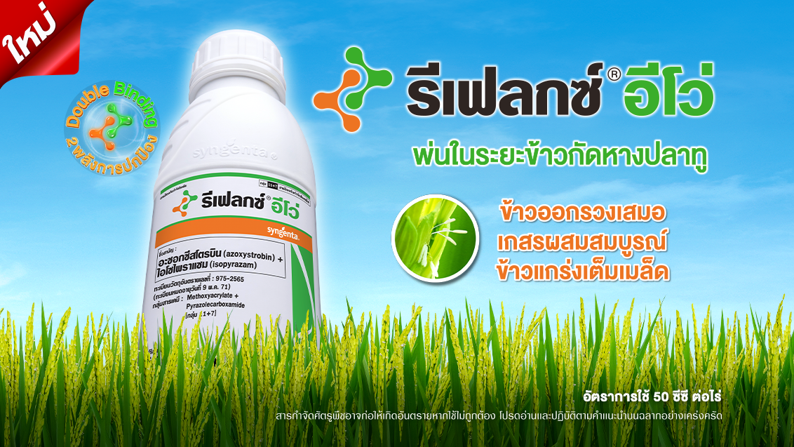 รีเฟลกซ์ อีโว่