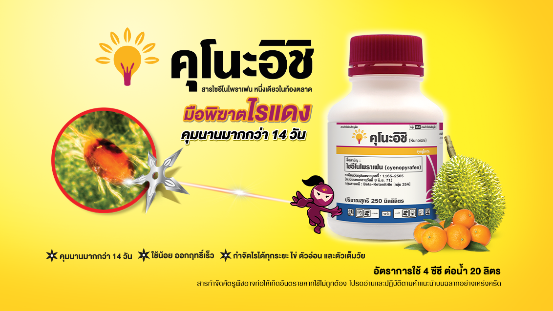 คุโนะอิชิ มือพิฆาตไรแดง