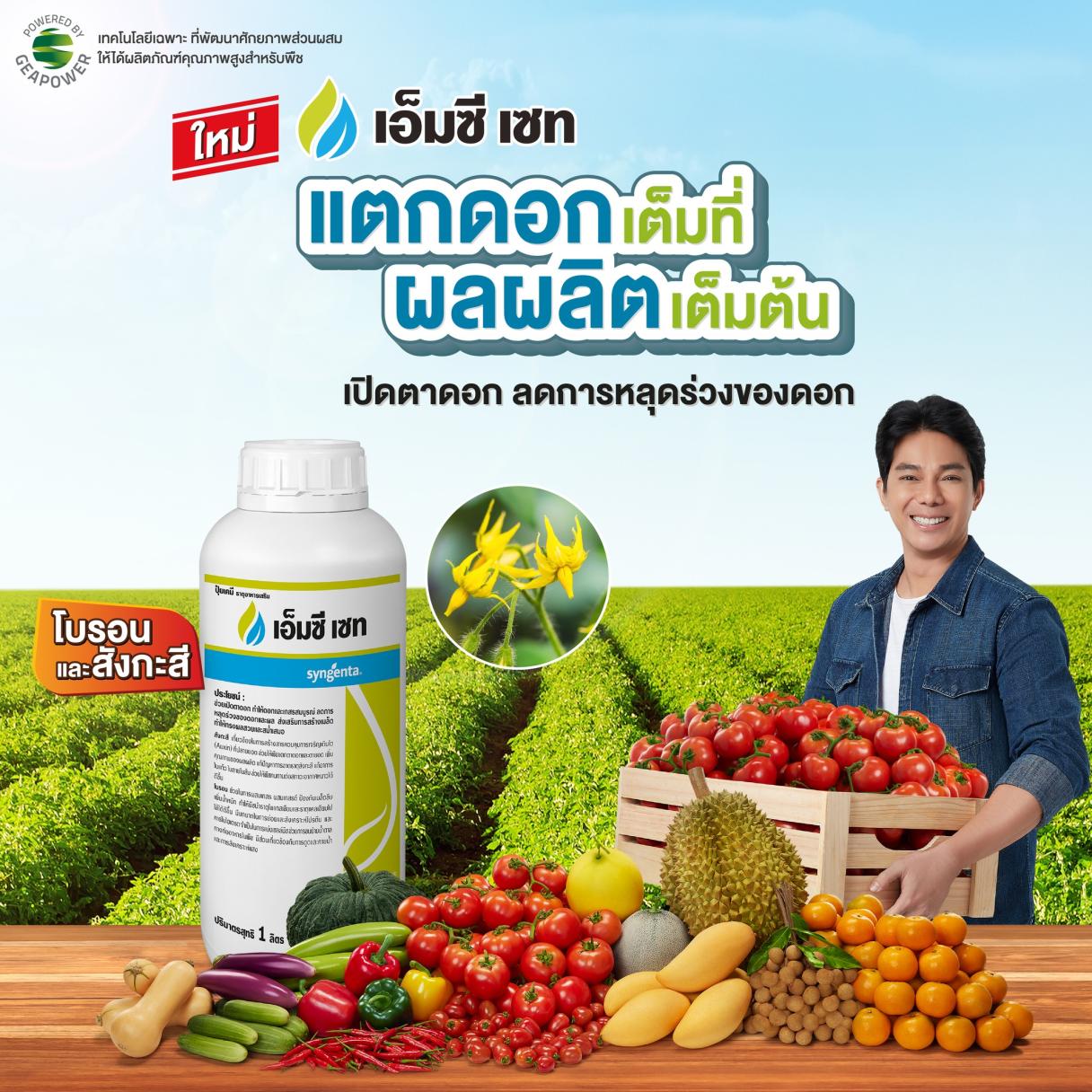 เอ็มซี เซท