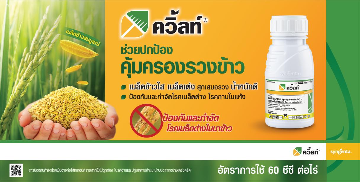 ควิ้ลท์