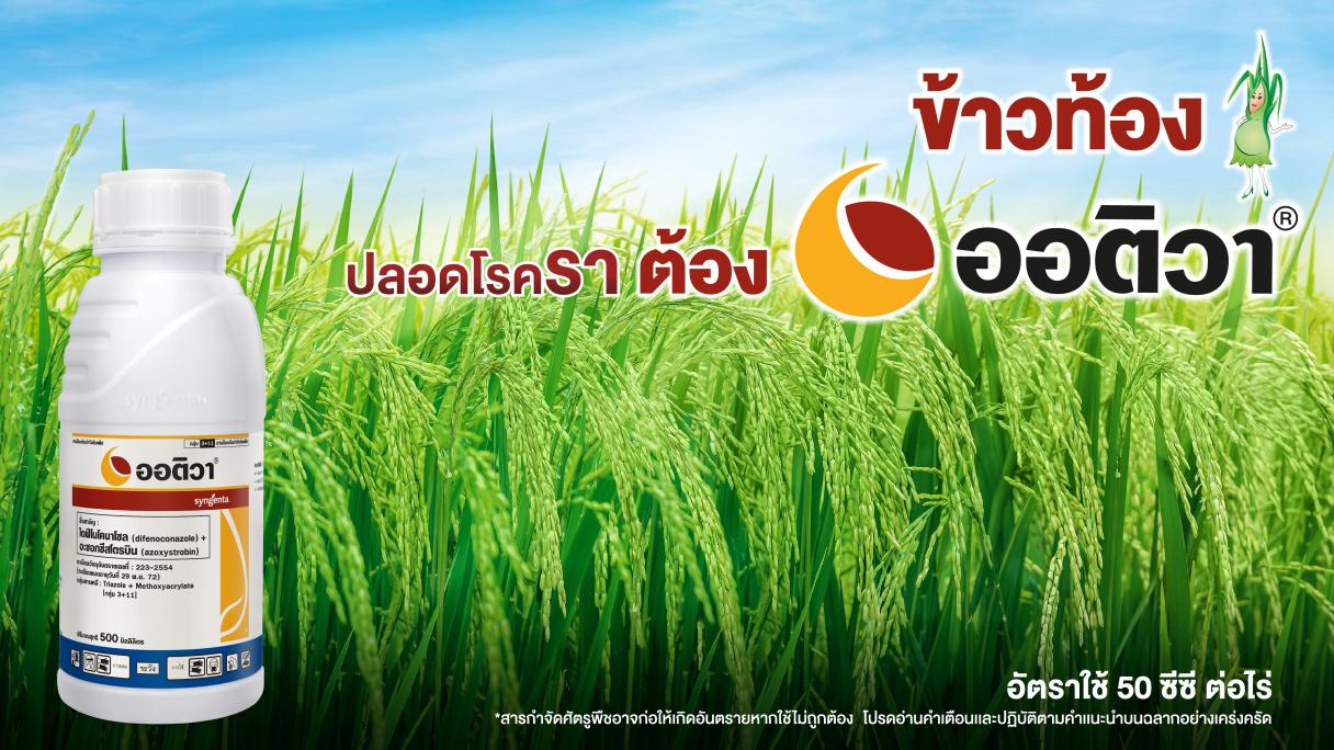 ออติวาแบนเนอร์