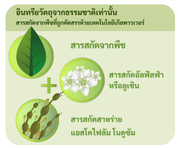 01องค์ประกอบของบูสเทน