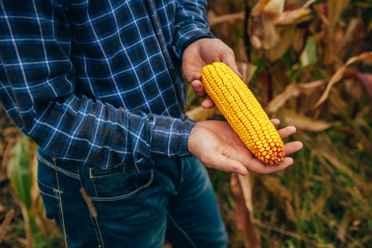 Agronomist Holds Table