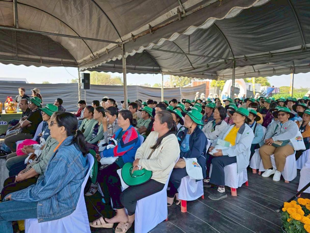 Khon Kaen Veggie Field Day 1