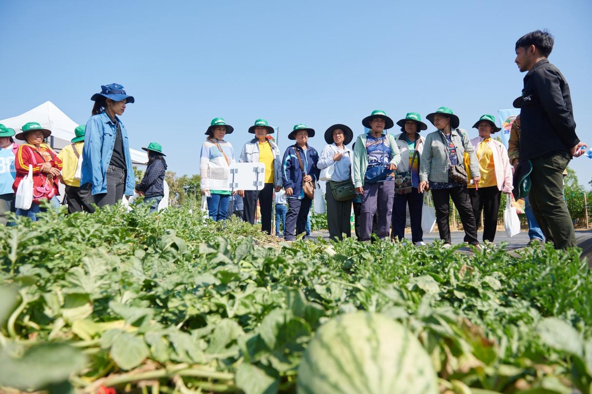Khon Kaen Veggie Field Day 4