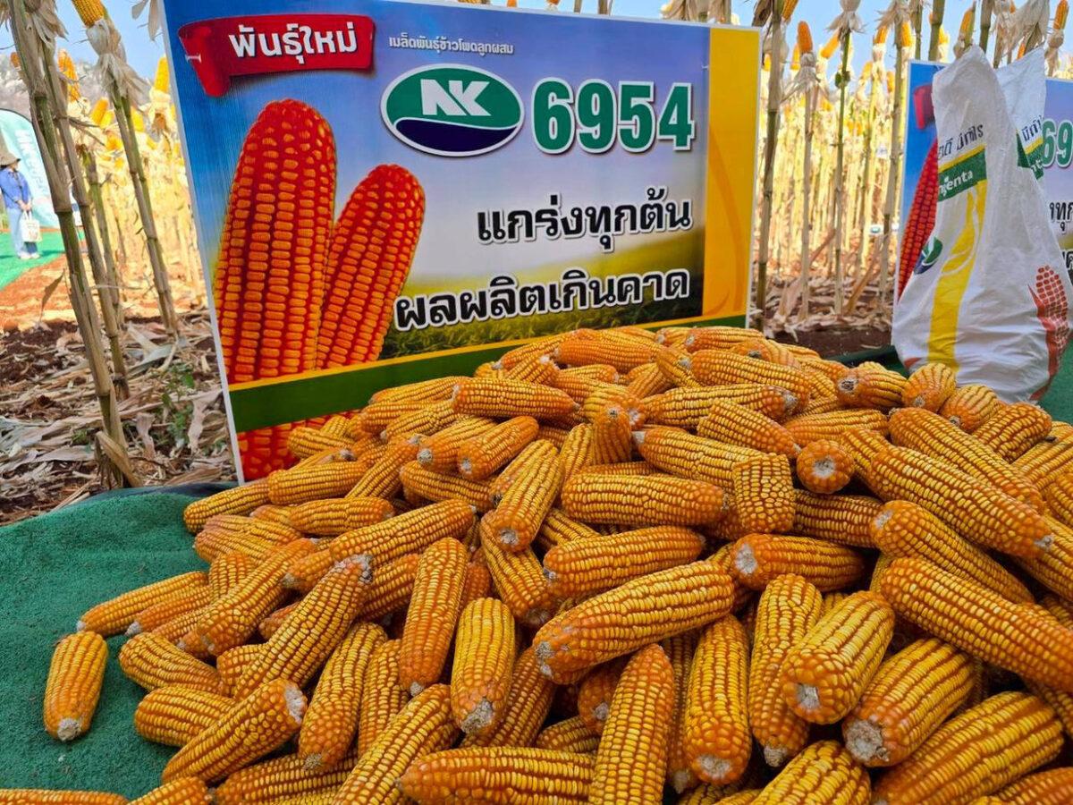 ์NK 6954 launch 3