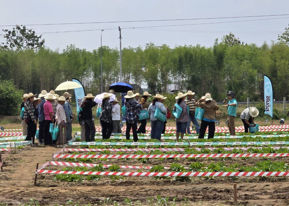 Simodis Veggie Expo 5