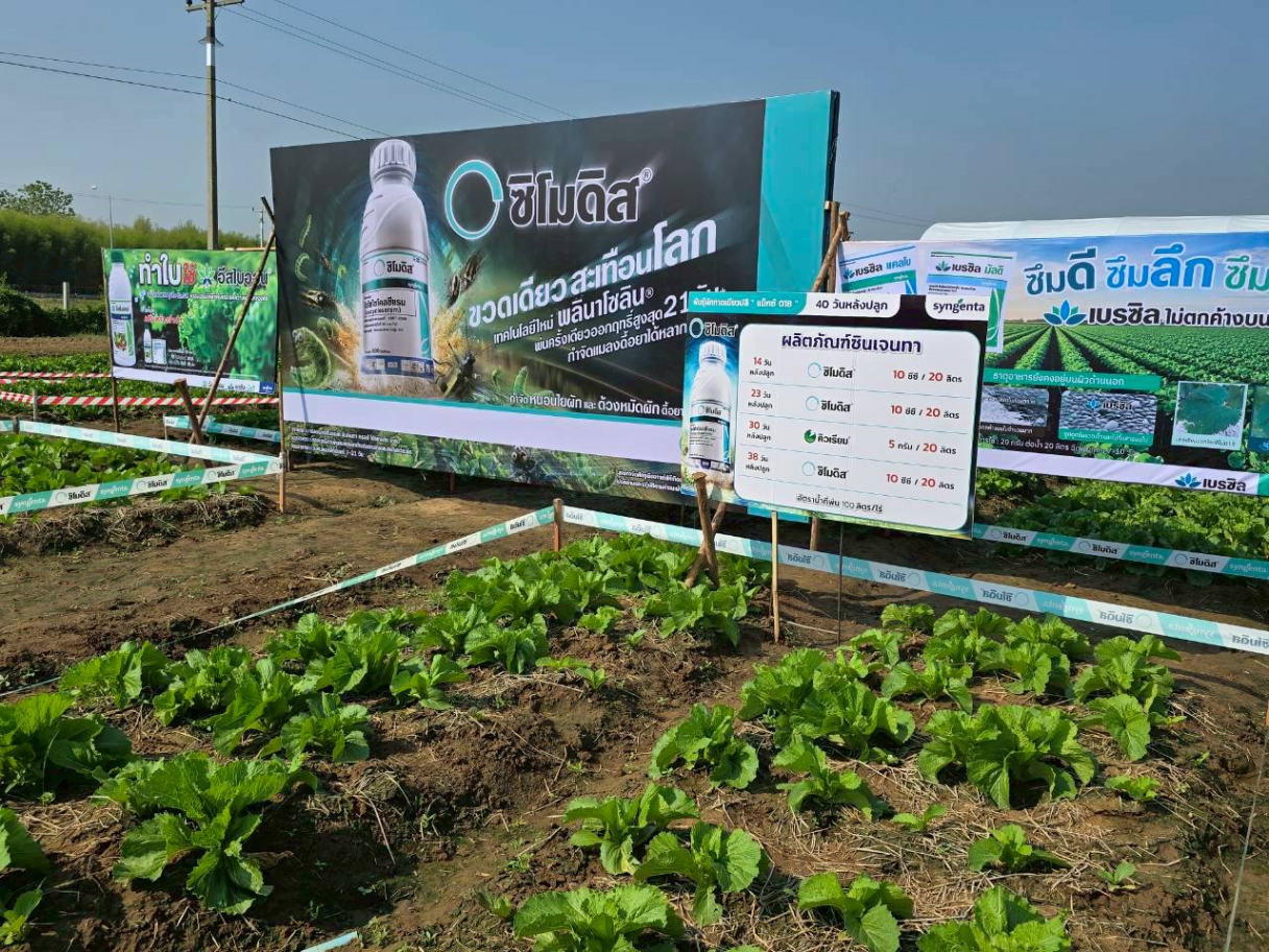 simodis_veggie_expo_3