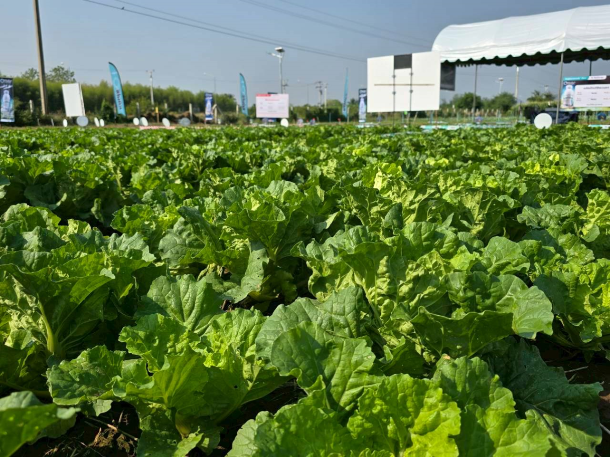 simodis_veggie_expo_4