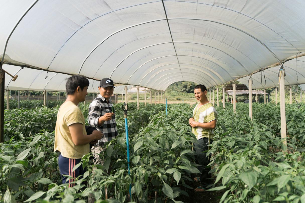 World Food Safety Day 2