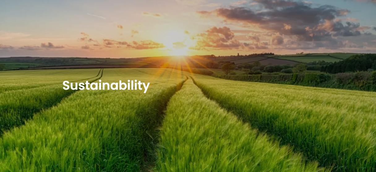 Sustainability